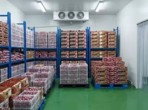 Desain Custom Condensing Unit untuk Cold Storage Bawang Merah dari BJT